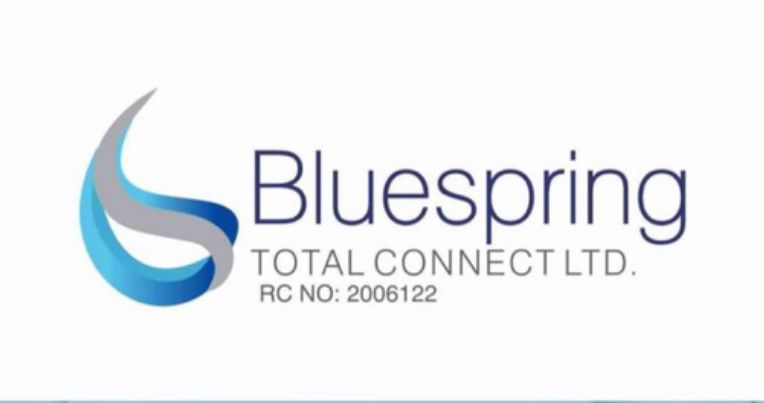 Blue Spring Logo